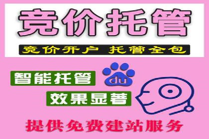 百度推广公司案例分析：精准定位，助力企业精准营销